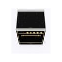 Majestic II Series 30 inch Freestanding Electric Induction Range with 4 Elements, Smoothtop Cooktop, 4 cu. ft. Total Oven Capacity, Convection Oven, with Brass Trim view 3