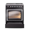 Nostalgie II Noblesse 30″ Dual Fuel Range  (Liquid Propane, Triple Glass Door, Glossy Black, Chrome) view 5