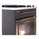 Nostalgie II Noblesse 30″ Dual Fuel Range  (Natural Gas, Triple Glass Door, Graphite Matte, Brass) view 6
