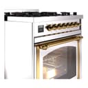 Nostalgie II Noblesse 30″ Dual Fuel Range  (Natural Gas, Triple Glass Door, Stainless Steel, Brass) view 6