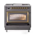 Nostalgie II Noblesse 36″ Dual Fuel Range (Natural Gas, Triple Glass Door, Graphite Matte, Brass) view 5