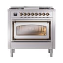 Nostalgie II Noblesse 36″ Dual Fuel Range (Liquid Propane, Triple Glass Door, Stainless Steel, Burnished) view 3