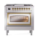 Nostalgie II Noblesse 36″ Dual Fuel Range (Liquid Propane, Triple Glass Door, Stainless Steel, Brass) view 3