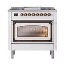 Nostalgie II Noblesse 36″ Dual Fuel Range (Natural Gas, Triple Glass Door, White, Burnished) view 3