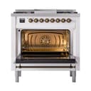 Nostalgie II Noblesse 36″ Dual Fuel Range (Natural Gas, Triple Glass Door, White, Burnished) view 4