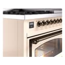 Nostalgie II Noblesse 48″ Dual Fuel Range  (8 Sealed Burners + Griddle, Natural Gas, Triple Glass Door, Antique White, Burnished) view 8