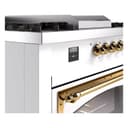 Nostalgie II Noblesse 60″ Dual Fuel Range      (7 Sealed Burners + Griddle + French Top, Liquid Propane, Triple Glass Door, RAL, Brass) view 8