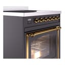 Nostalgie II Noblesse 30″ Induction Range (Triple Glass Door, Graphite Matte, Brass) view 5