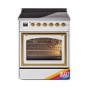 Nostalgie II Noblesse 30″ Induction Range (Triple Glass Door, RAL, Brass) view 1