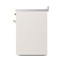 Nostalgie II Noblesse 30″ Induction Range (Solid Door, Antique White, Brass) view 5