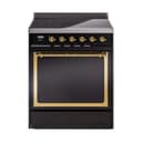 Nostalgie II Noblesse 30″ Induction Range (Solid Door, Glossy Black, Brass) view 1