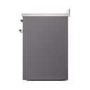Nostalgie II Noblesse 30″ Induction Range (Solid Door, Graphite Matte, Brass) view 5
