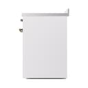Nostalgie II Noblesse 30″ Induction Range (Solid Door, White, Chrome) view 5