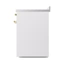 Nostalgie II Noblesse 30″ Induction Range (Solid Door, White, Brass) view 5