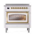 Nostalgie II Noblesse 36″ Induction Range   (Triple Glass Door, RAL, Brass) view 2