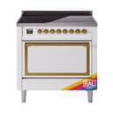 Nostalgie II Noblesse 36″ Induction Range   (Solid Door, RAL, Brass) view 1