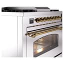 Professional Plus II Series 36 inch Freestanding Dual Fuel Range with Natural Gas, 6 Sealed Burners, 3.5 cu. ft. Total Oven Capacity, Griddle, Convection Oven, Continuous Grates, Storage Drawer, with Brass Trim view 6