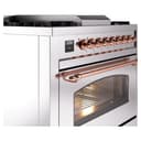 Nostalgie II 36 UP36FNMPSSP Freestanding Dual Fuel Range with 6 Sealed Burners with Griddle Single Oven with Triple Glass Door with Copper knobs view 6