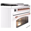 Nostalgie II 36 UP36FNMPWHP Freestanding Dual Fuel Range with 6 Sealed Burners with Griddle Single Oven with Triple Glass Door with Copper knobs view 6