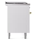 Nostalgie II Series 60 inch Freestanding Dual Fuel Range with Natural Gas, 7 Sealed Burners, Double Ovens, 5.8 cu. ft. Total Oven Capacity, Griddle, French Top, Convection Oven, Continuous Grates, Viewing Window, Storage Drawer with Brass Trim view 9