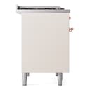 40 Inch Freestanding Dual Fuel Range with 6 Sealed Burners view 9