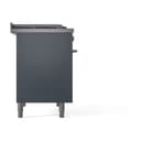 Professional Plus II 40 UPD40FQMPBG Freestanding Dual Fuel Range with 6 Sealed Burners with Griddle Double Oven with Solid Door with Stainless Steel knobs view 4