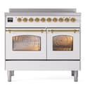 Nostalgie II Series 40 inch Freestanding Electric Induction Range with 6 Elements, Smoothtop Cooktop, 4.3 cu. ft. Total Oven Capacity, Convection Oven, Storage Drawer with Brass Trim view 5