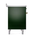 Nostalgie II 40 UPDI406QNMPEGG Freestanding Electric Range Range with Induction Double Oven with Solid Door with Brass knobs view 4
