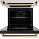 Autograph Edition 30 In. Professional True Convection Double Wall Oven With Air Fry And Self Clean In Satin Stainless Steel With Champagne Bronze Handles view 13