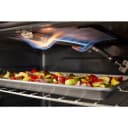 5.0 Cu. Ft. Freestanding Gas Range with Storage Drawer view 15
