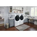 7.4 Cu. Ft. Gas Wrinkle Shield Dryer with Steam view 7
