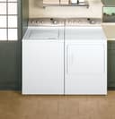 3.5 Cu. Ft. King-Size Capacity Stainless Steel Basket view 4