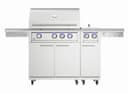 Performance XLT Double Side Burner view 5