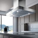 Island Range Hood view 2