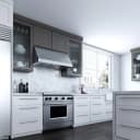 Pro Hood Range Hood view 2