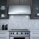 Pro Hood Range Hood view 4