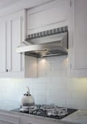 Pro Hood Range Hood view 2