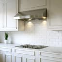 Pro Hood Range Hood view 2