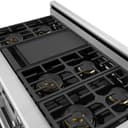 X Series 48" Professional Dual Fuel Range LP view 9