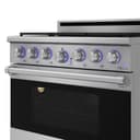 X Series 36" Professional Gas Range view 6