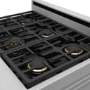 X Series 36" Professional Gas Range view 7