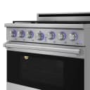 36 Inch X Series Premium Professional Liquid Propane Range view 4
