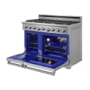 48-inch Professional Gas Range view 5