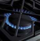 GE Monogram® 36" Dual-Fuel Professional Range with 6 Burners (Liquid Propane) view 5