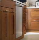 Monogram® Fully Integrated Dishwasher view 9