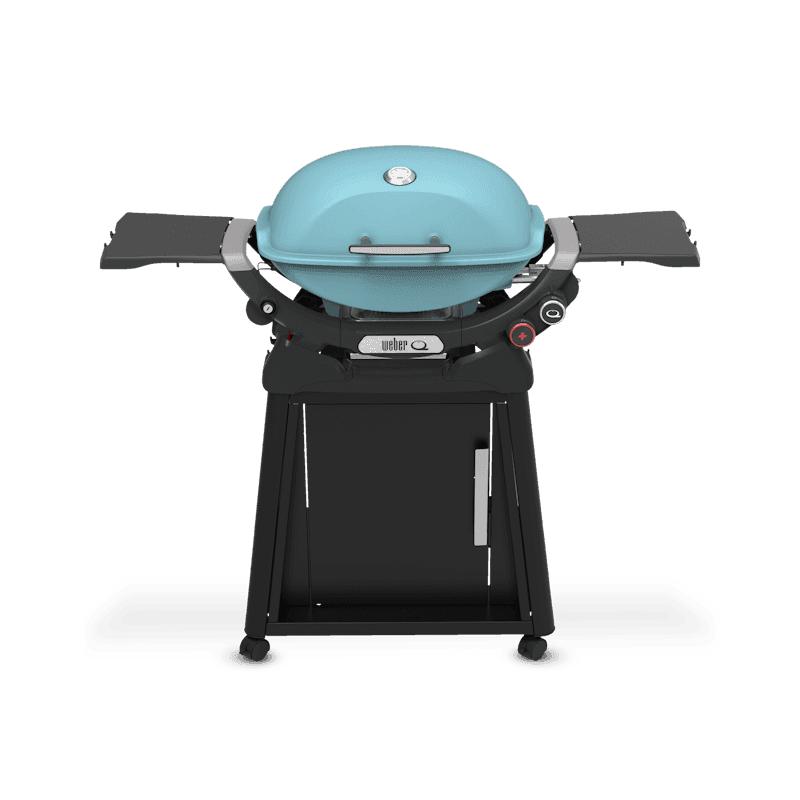Q 2800N+ Gas Grill with Stand (Liquid Propane)