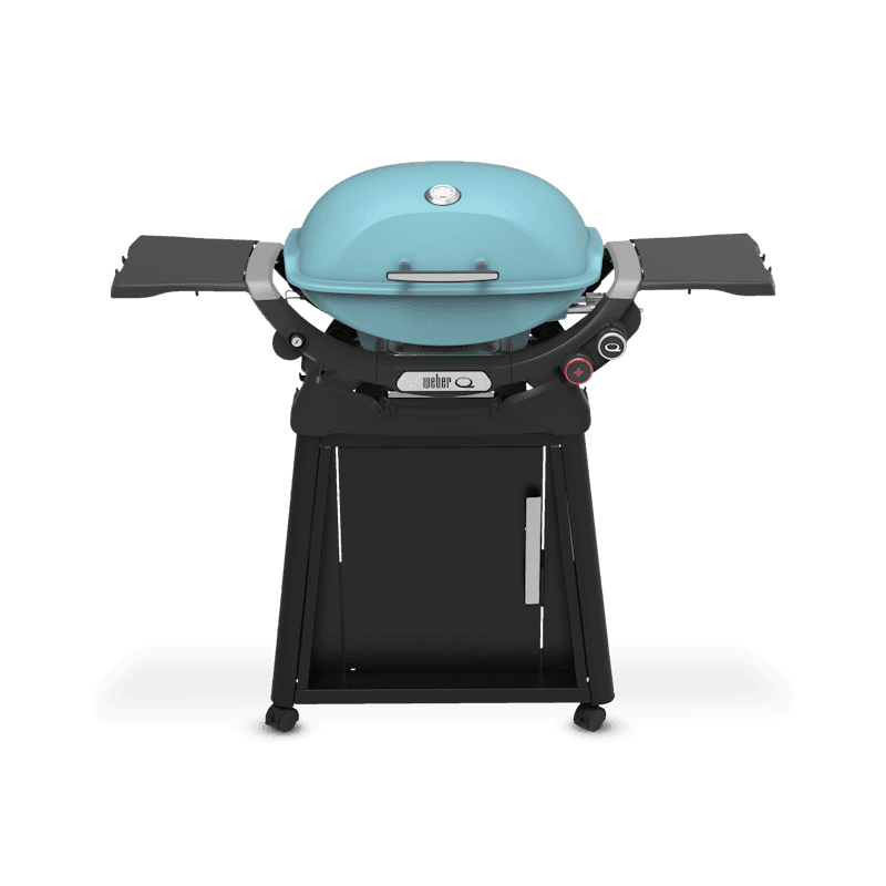 Q 2800N+ Gas Grill with Stand (Liquid Propane)
