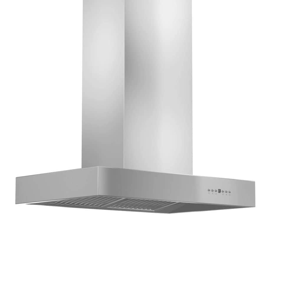 42 in. Ducted Professional Island Mount Range Hood
