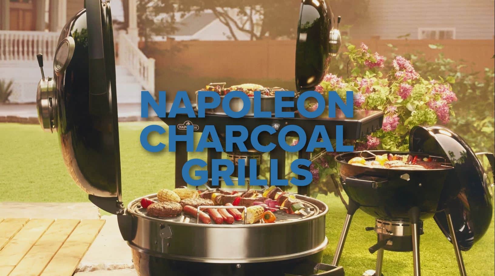 Professional 22 Charcoal 22-inch Kettle Grill with Cart