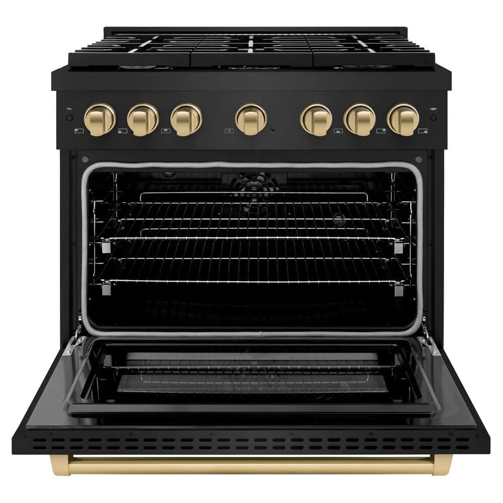 Autograph Edition 36 In. 5.2 Cu. Ft. Paramount Dual Fuel Range With 6 Burner Gas Cooktop And Electric Convection Oven In Black Stainless Steel With Champagne Bronze Accents